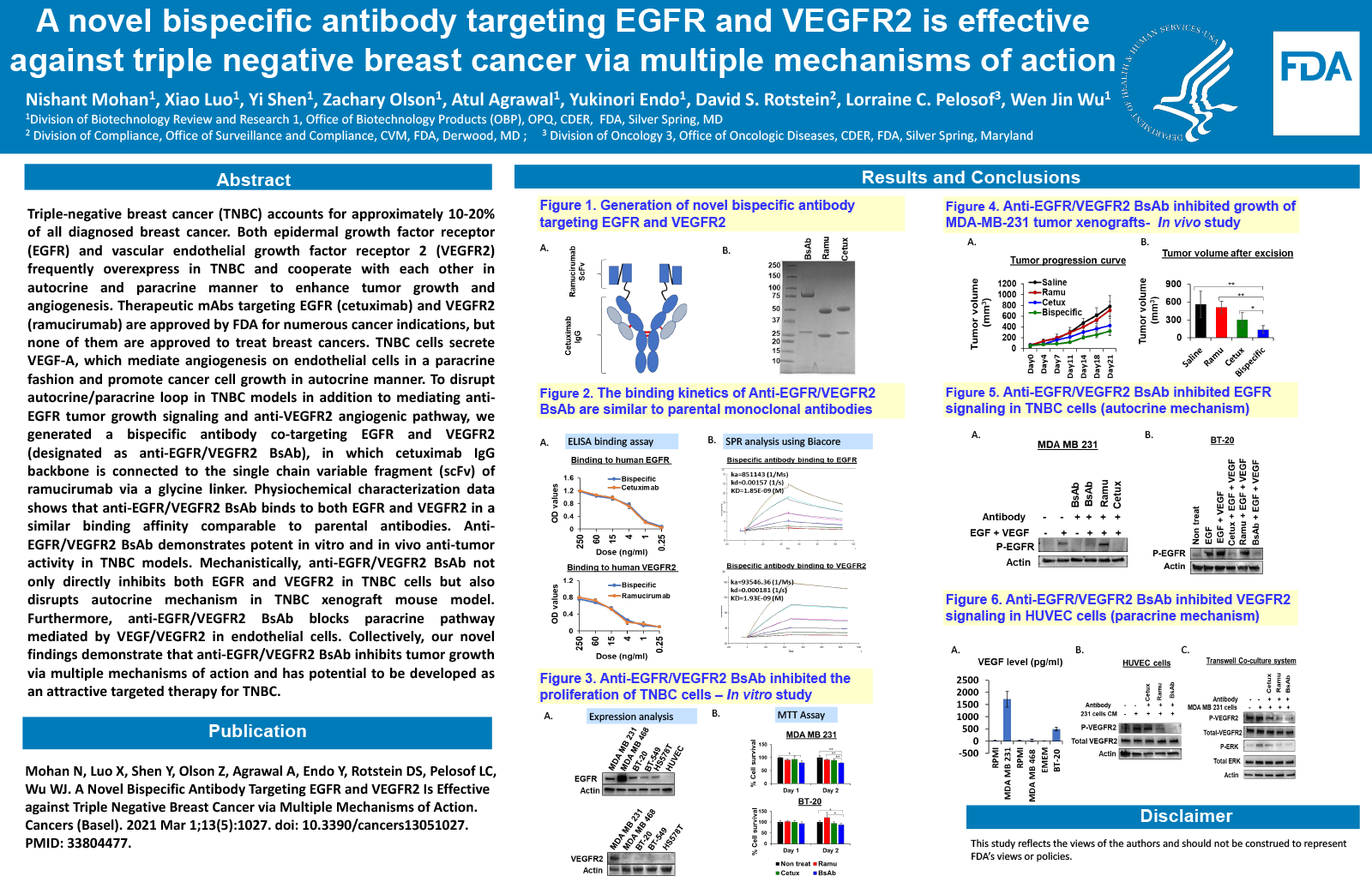 A Novel Bispecific Antibody Targeting EGFR and VEGFR2 is Effective Against Triple Negative Breast Cancer via Multiple Mechanisms of Action