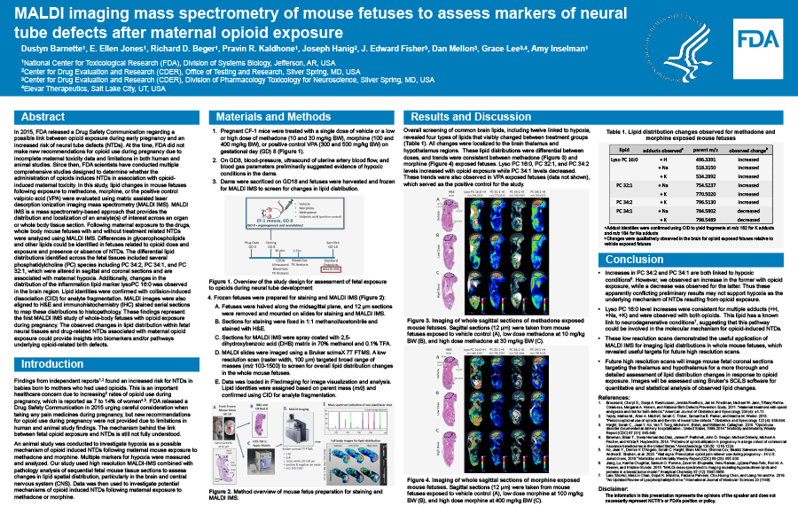 MALDI imaging mass spectrometry of mouse fetuses to assess markers of neural tube defects after maternal opioid exposure