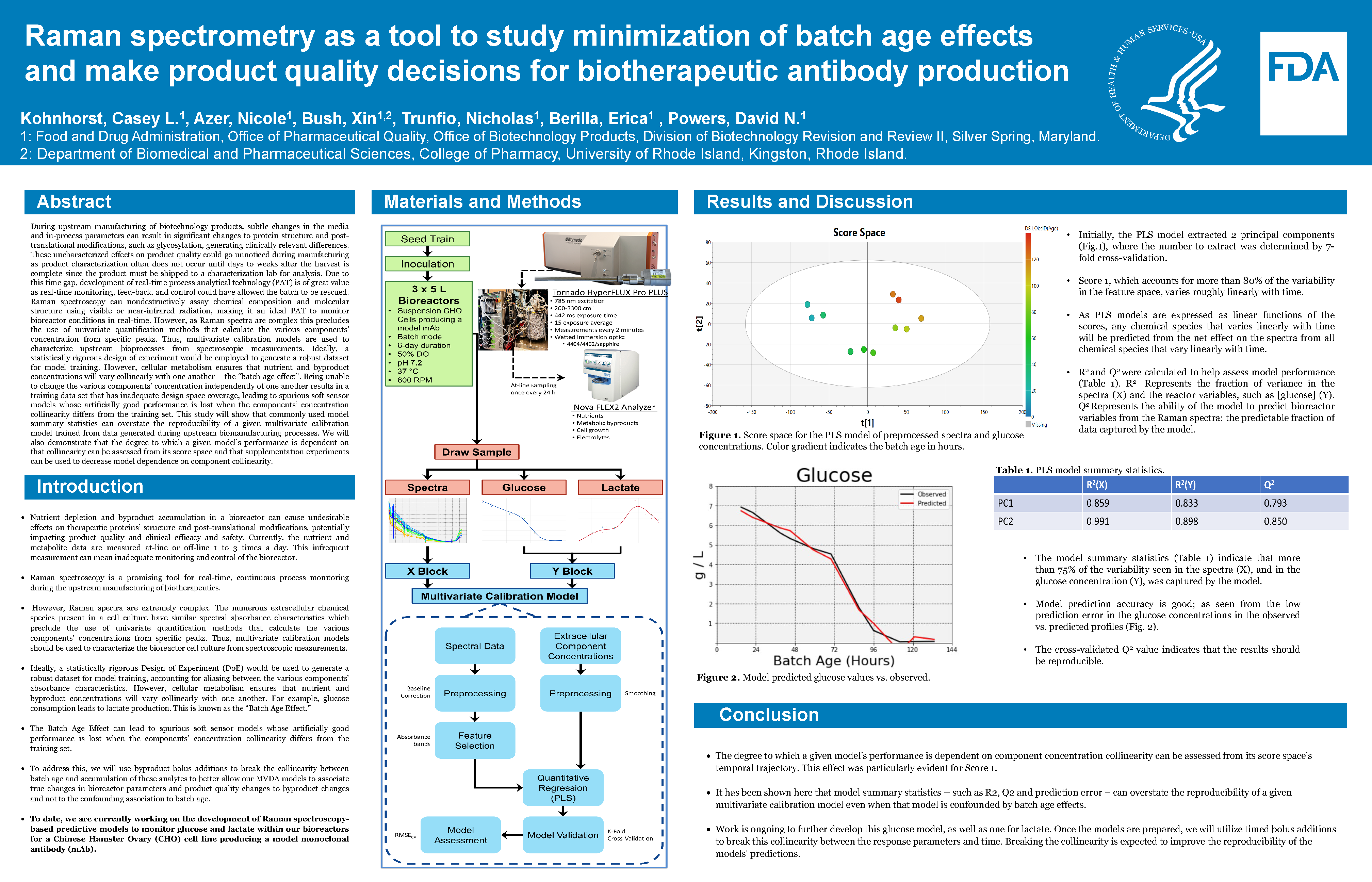 Raman spectrometry as a tool to study minimization of batch age effects and make product quality decisions for biotherapeutic antibody production