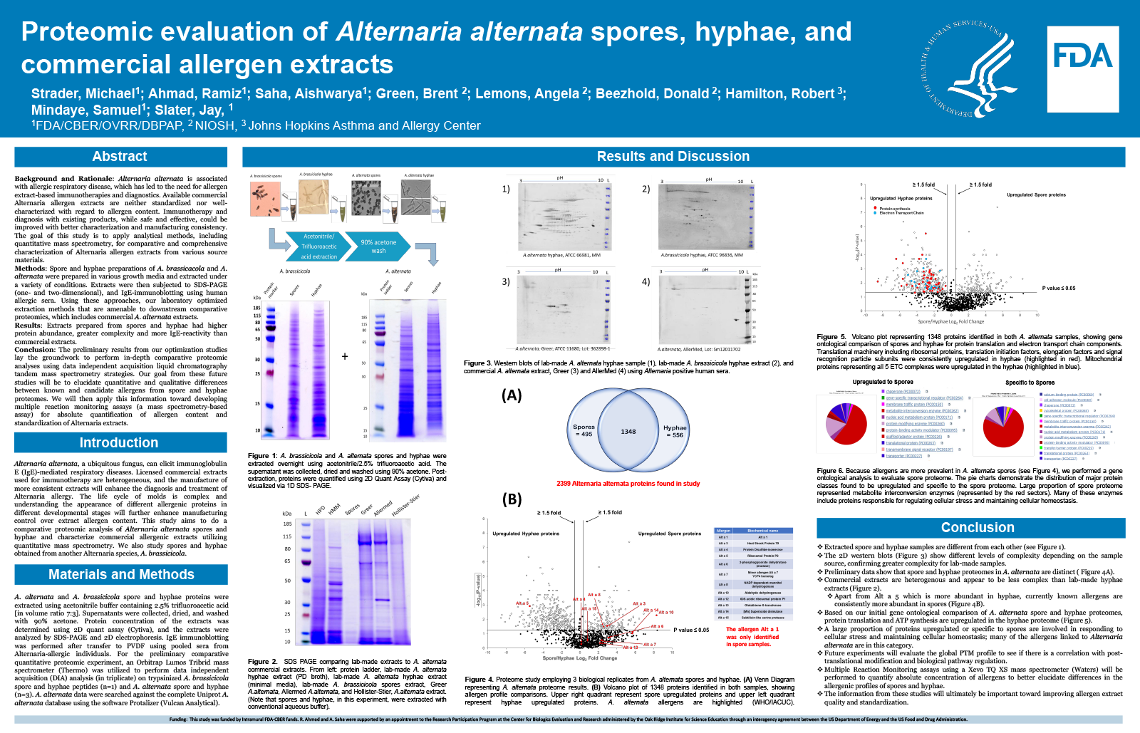 Preview image of the scientific poster. For more information, please refer to the abstract or download the PDF version of the poster.