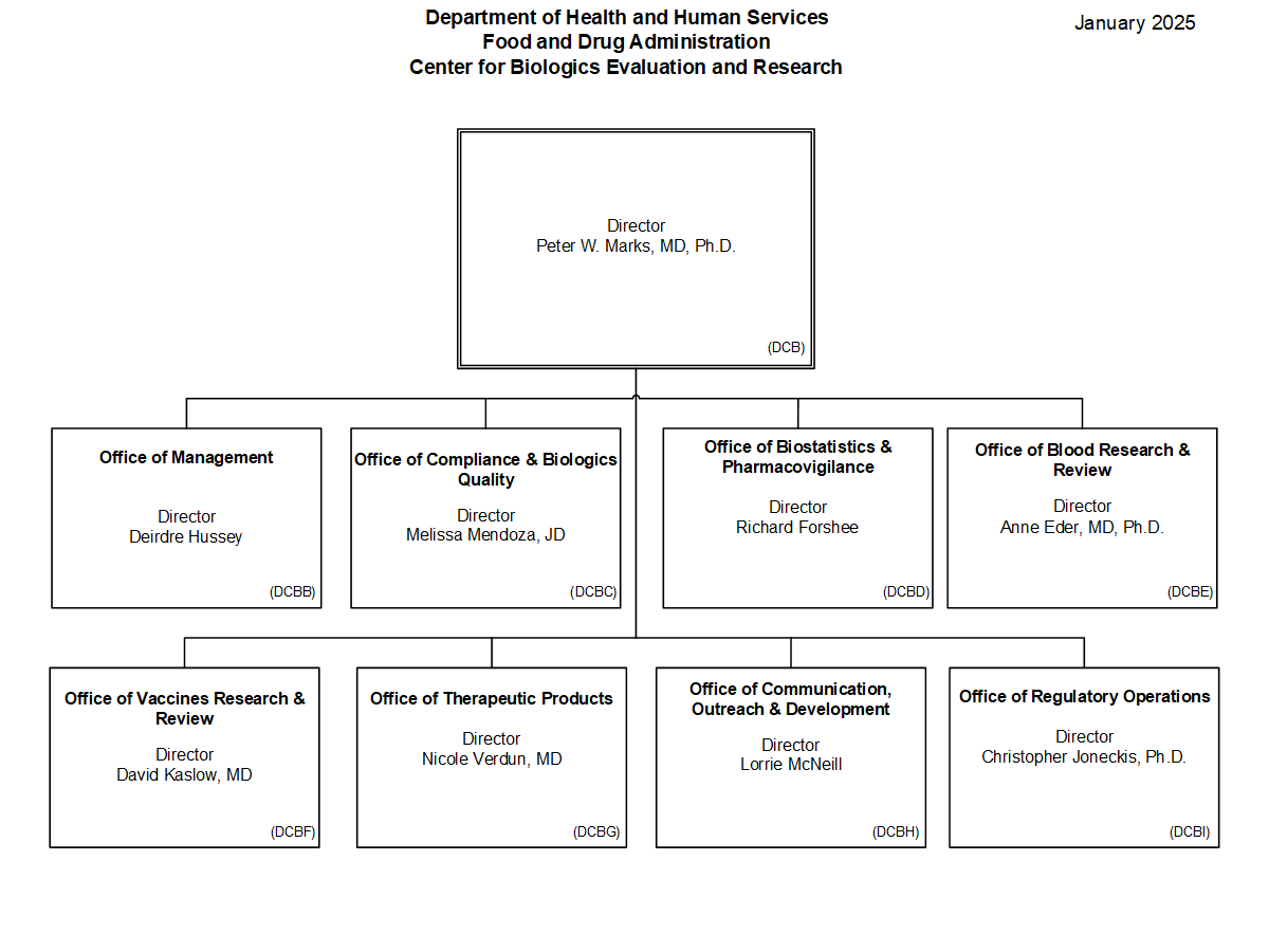 November 2024  The following header reflects the organizational hierarchy. Department of Health and Human Services Food and Drug Administration Center for Biologics Evaluation and Research  The following is the Food and Drug Administration, Center for Biologics Evaluation and Research organization structure depicting the organizational structure reporting to the Office Director. These organizational structures are organized in sequential order by their assigned Standard Administrative Code (Alphanumeric seq