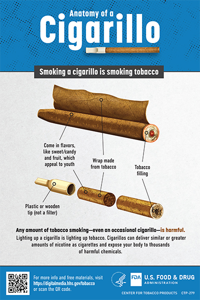 CTP - Anatomy of a Cigarillo Poster - TERL