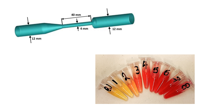 (Figured 5 and 6) Example flow model used to assess red blood cell damage at different flow rates.