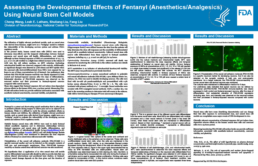 Assessing the Developmental Effects of Fentanyl (Anesthetics/Analgesics) Using Neural Stem Cell Models