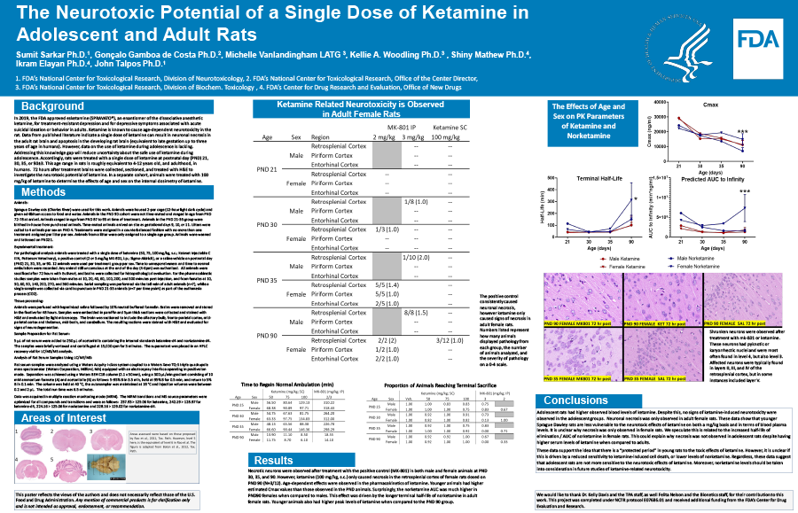 The Neurotoxic Potential of a Single Dose of Ketamine in Adolescent and Adult Rats