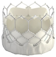 Image of Edwards SAPIEN 3 Transcatheter Heart Valve - P140031/S010