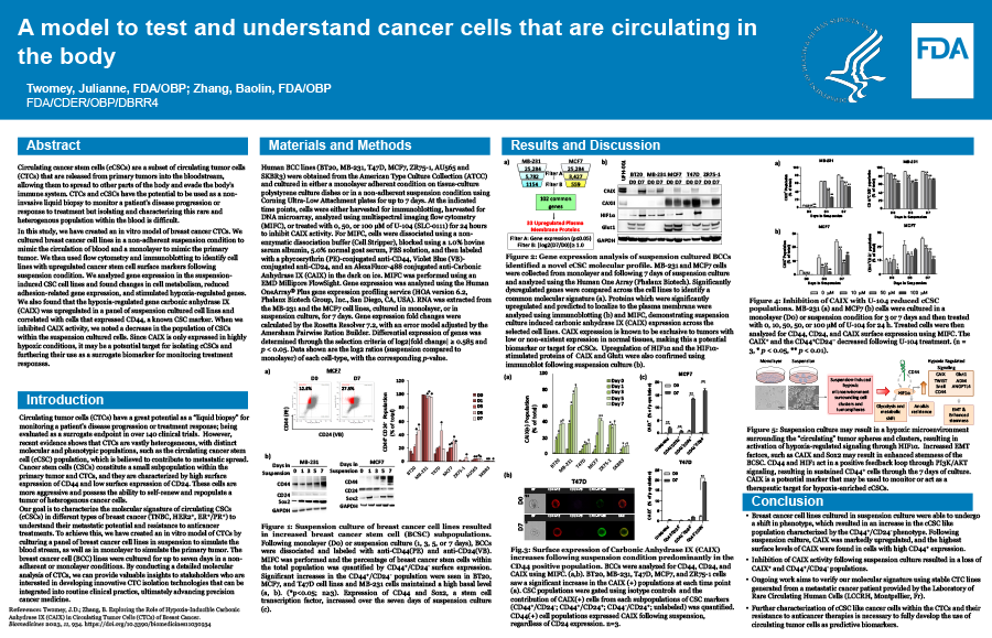 A Model to Test and Understand Cancer Cells that are Circulating in the Body