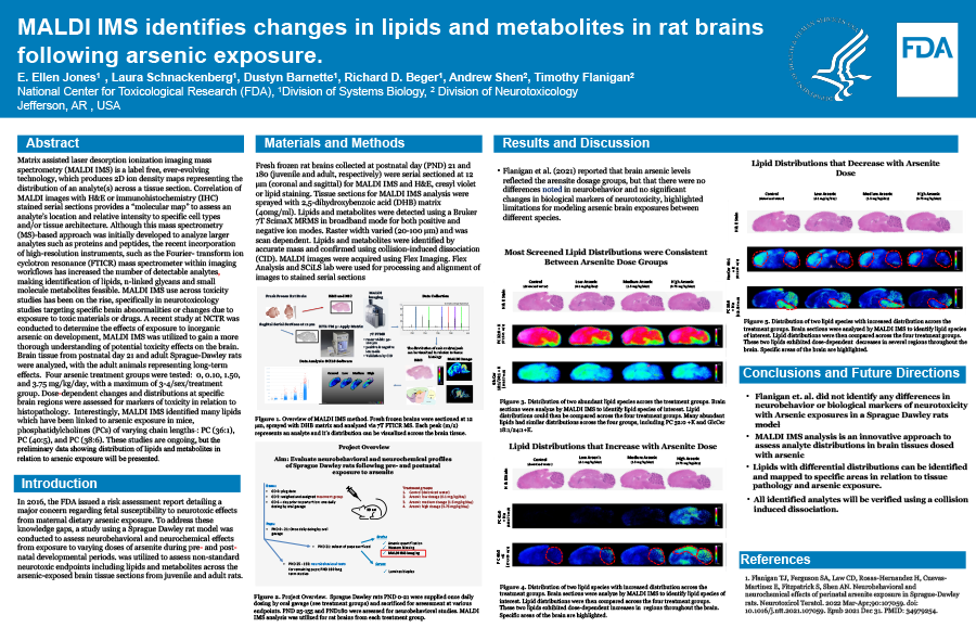 MALDI IMS identified changes in lipids and metabolites in rat brains following arsenic exposure