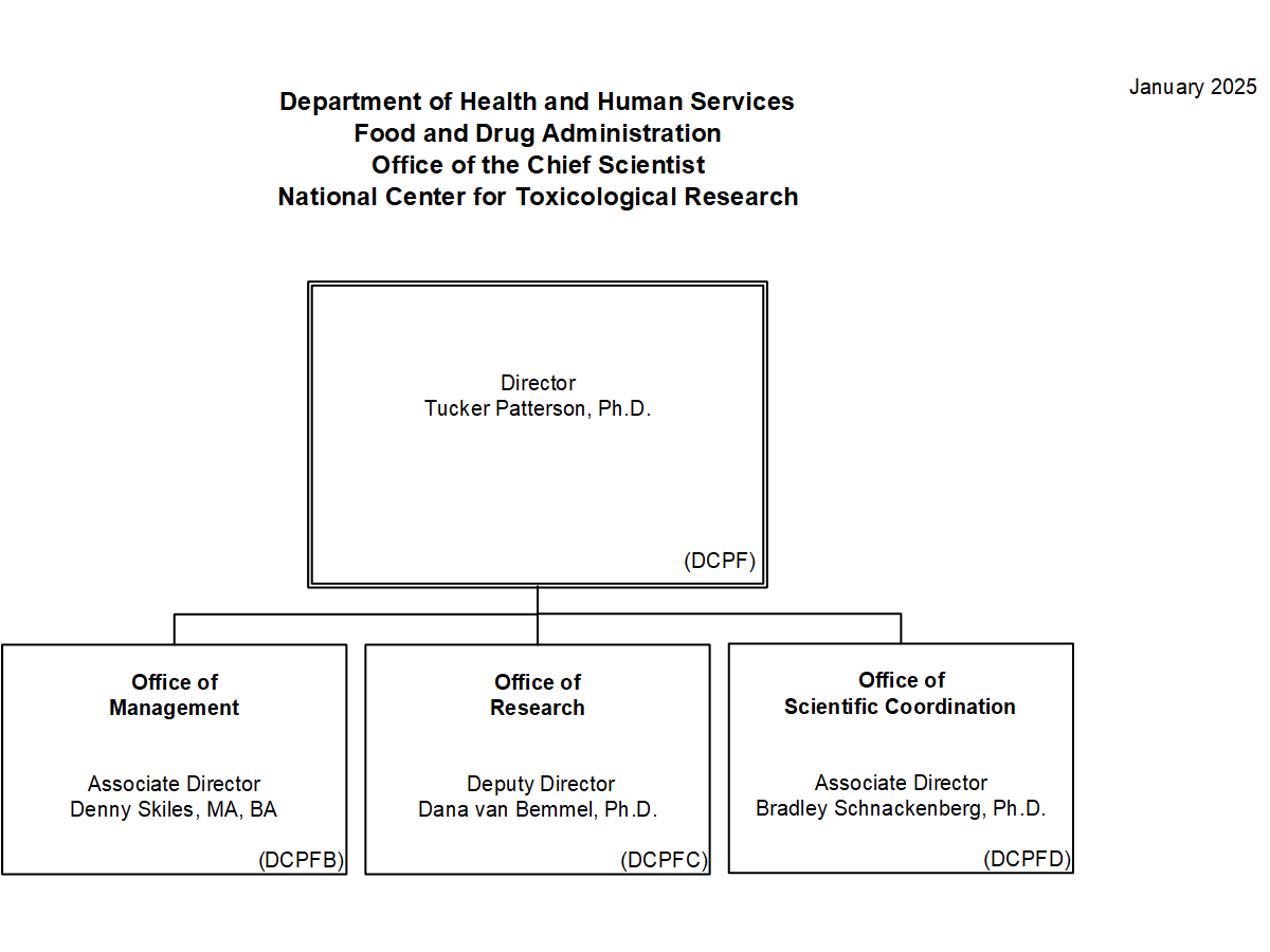 January 2025  The following header reflects the organizational hierarchy. Food and Drug Administration Office of the Chief Scientist National Center for Toxicological Research  The following is the Food and Drug Administration, Office of the Chief Scientist, National Center for Toxicological Research organization structure depicting the organizational structure reporting to the Office Director. These organizational structures are organized in sequential order by their assigned Standard Administrative Code (