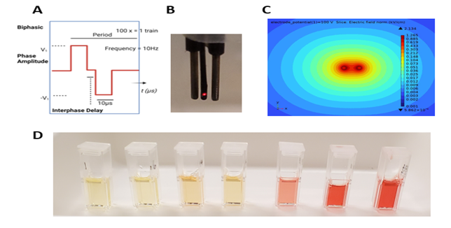 Figure 2,  A. Waveform details using a customizable pulse generator. B. Two Electrodes for delivery with fiber Optic Probe.  C. E-field distribution post stimulation. D. Hemolysis testing for blood damage assessment.