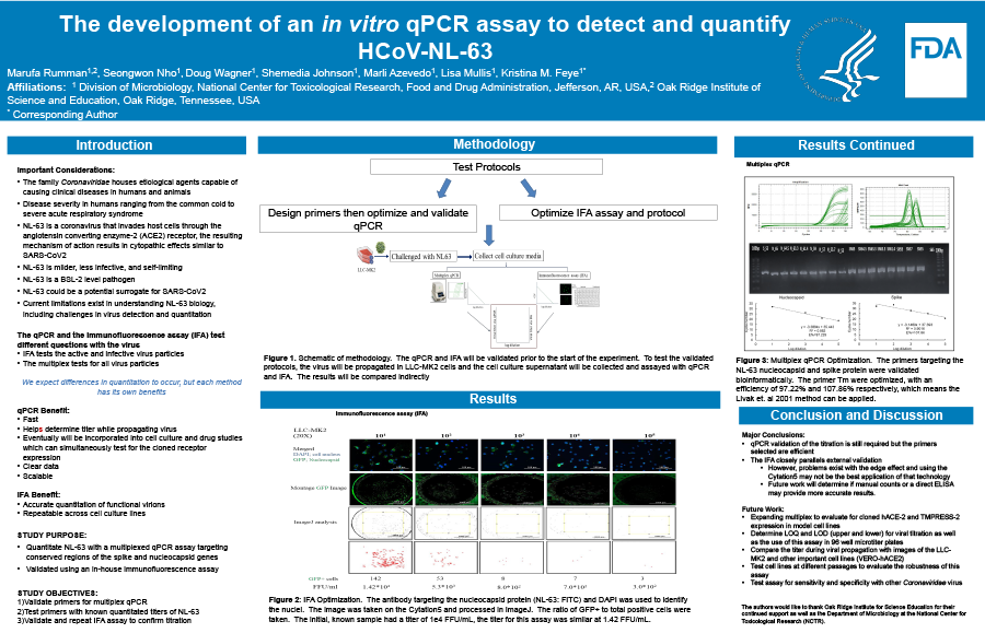 The development of an in vitro qPCR assay to detect and quantify HCoV-NL-63