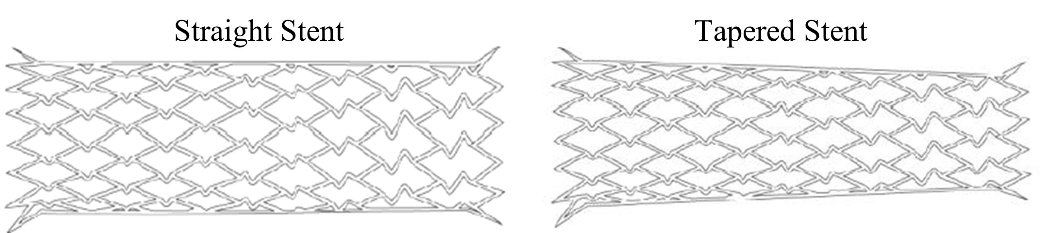 XACT Carotid Stent System is used to reopen narrowed parts of the carotid arteries. 