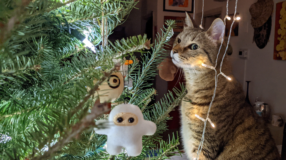 photo of a cat sitting close to a christmas tree looking curiously at the ornaments and lights