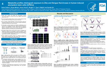 Poster image - Metabolite profiles distinguish exposure to Zika and Dengue flaviviruses in human induced pluripotent stem cells (hiPSCs)