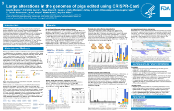 Poster Image - Large alterations in the genomes of pigs edited using CRISPR-Cas9