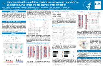 Poster image - Understanding the host regulatory circuits behind host defense against flavivirus infection