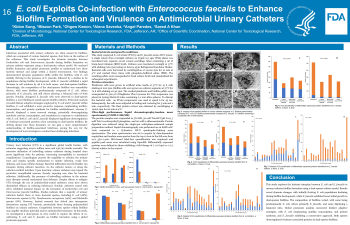 Poster image - E. coli exploits co-infection with Enterococcus faecalis to enhance biofilm formation and virulence on antimicrobial urinary catheters