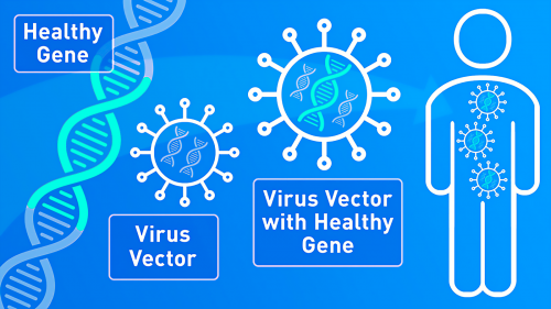 Dual Purpose Vectors for Rare Neurological Diseases: Molecular Therapy