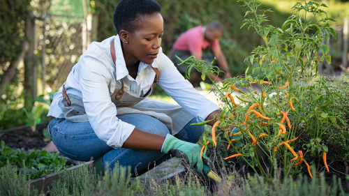 Women gardening