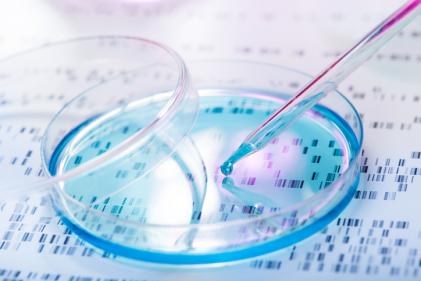 DNA, em Laboratório, Células-Tronco, cuidados de Saúde E Medicina, Placa de Petri