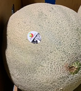 Whole cantaloupe with sticker