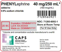 Image 1: Label for 250 mL Excel Bag containing PHENYLephrine 40 mg added to 0.9% Sodium Chloride