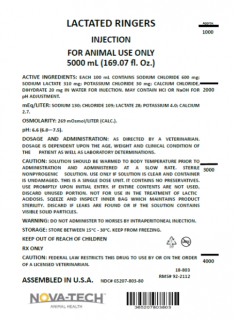 Image 1: Lactated Ringer’s container label, 5000 mL