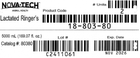 Image 2: Lactated Ringer’s case label, 5000 mL