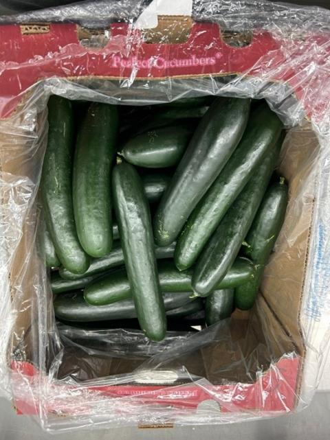 “Image of bulk cucumbers”