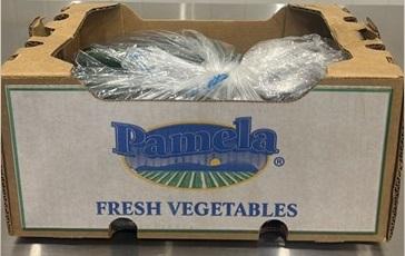 Pamela Fresh Cucumbers