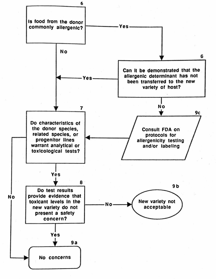 Safety considerations for biotechnology 1992