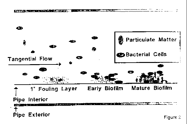 Wfi Basics And Sampling Methods Tbl Plastics