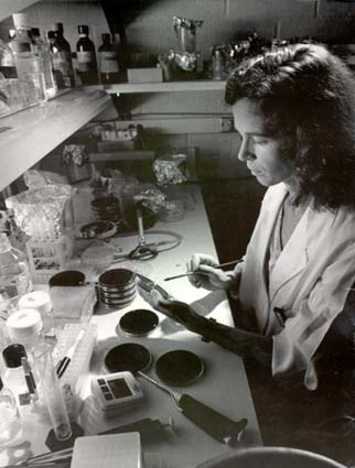 A woman in a lab working with a Petri dish